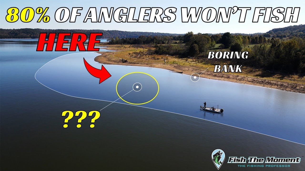 Don't Miss This Early Winter Bass Fishing Pattern | #Catch15