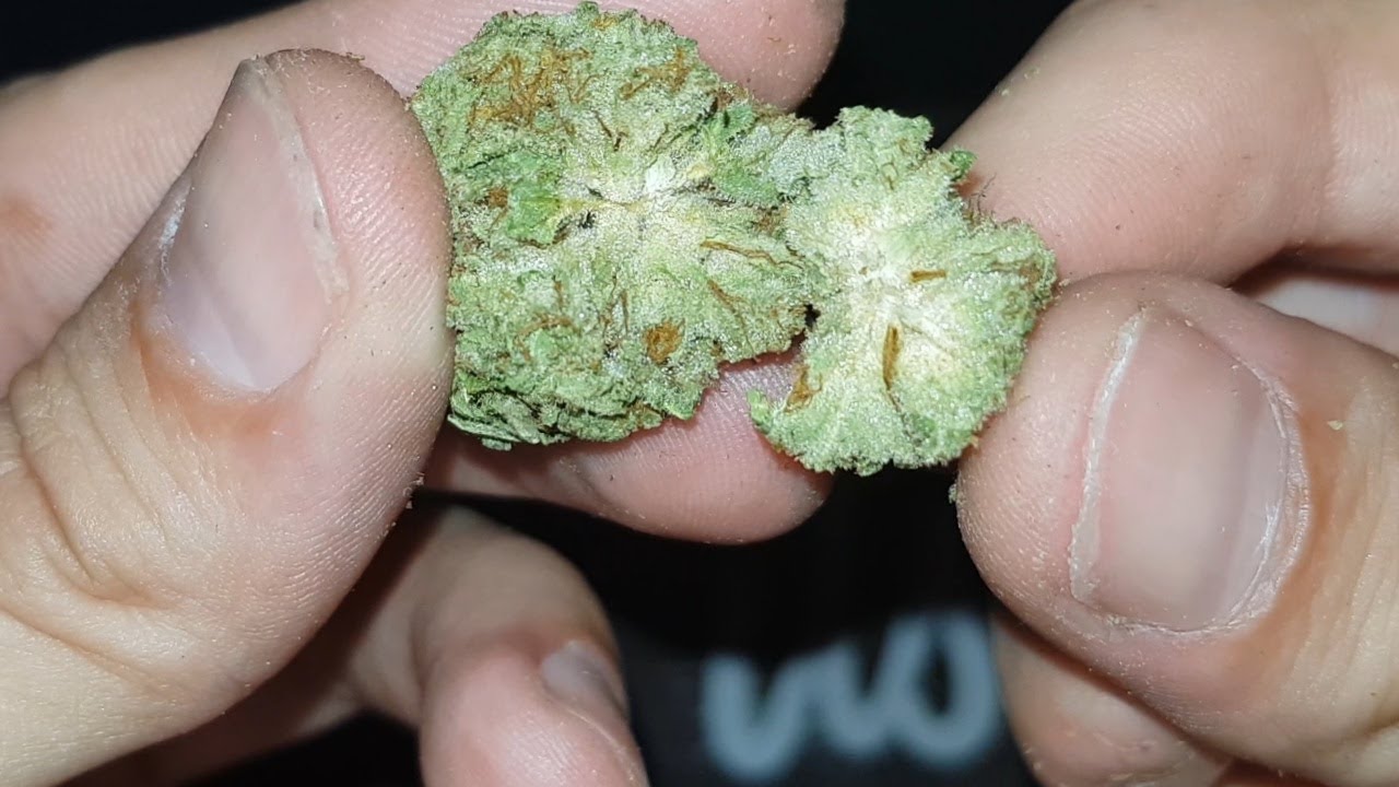 Zookies Strain Review.