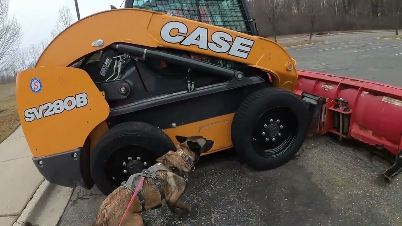 Buddy - Converging Trailer Hides 2/21/26