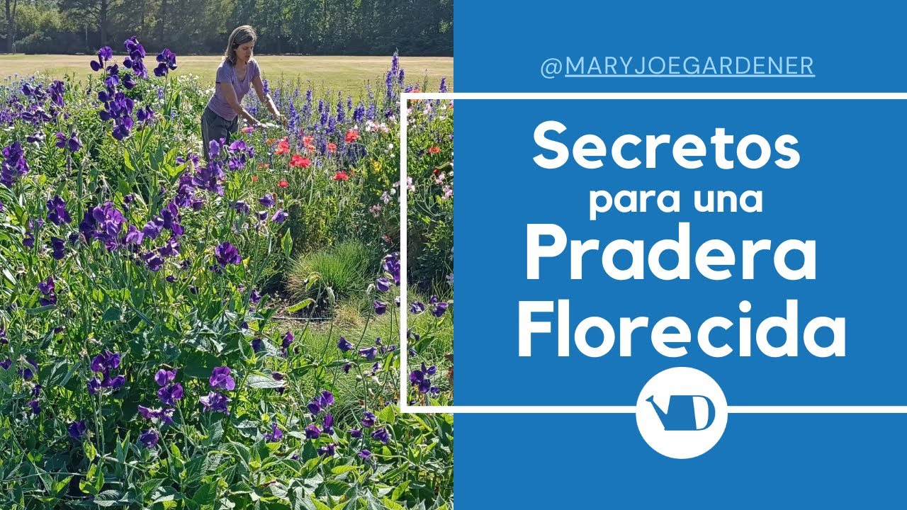 Secretos para una pradera floreciente, por Mary Joe Gardener