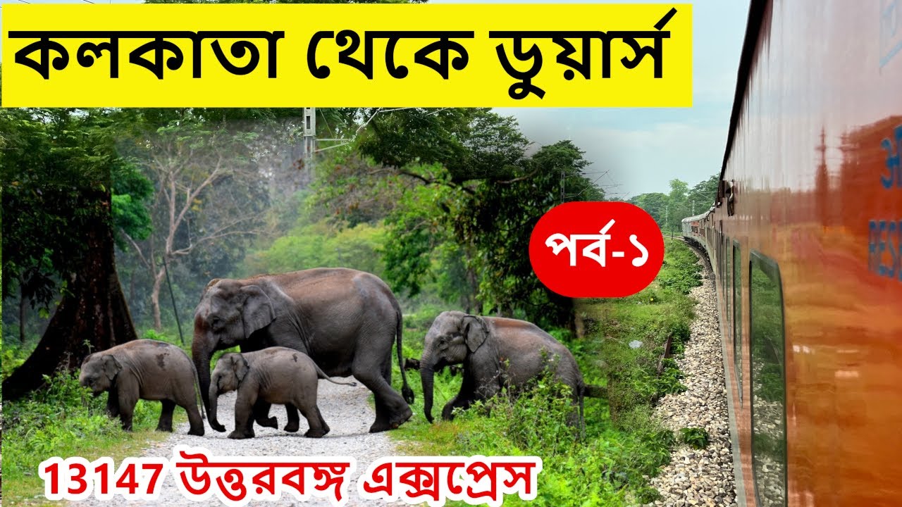 Kolkata to Dooars | ডুয়ার্স ভ্রমণ | Dooars Tour | Dooars Tour Plan | Dooars | Dooars Tourist Spot
