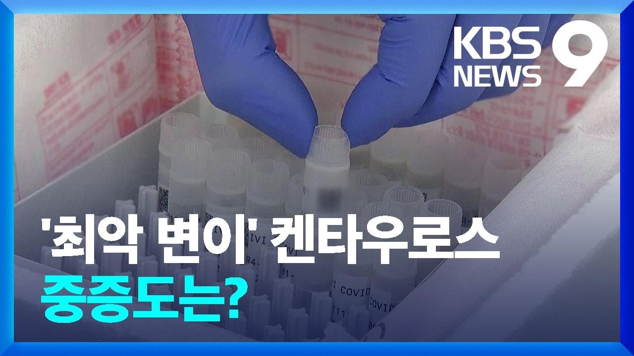 BA.5에 겹친 ‘켄타우로스’…국내 유행 파장은? / KBS  2022.07.14.