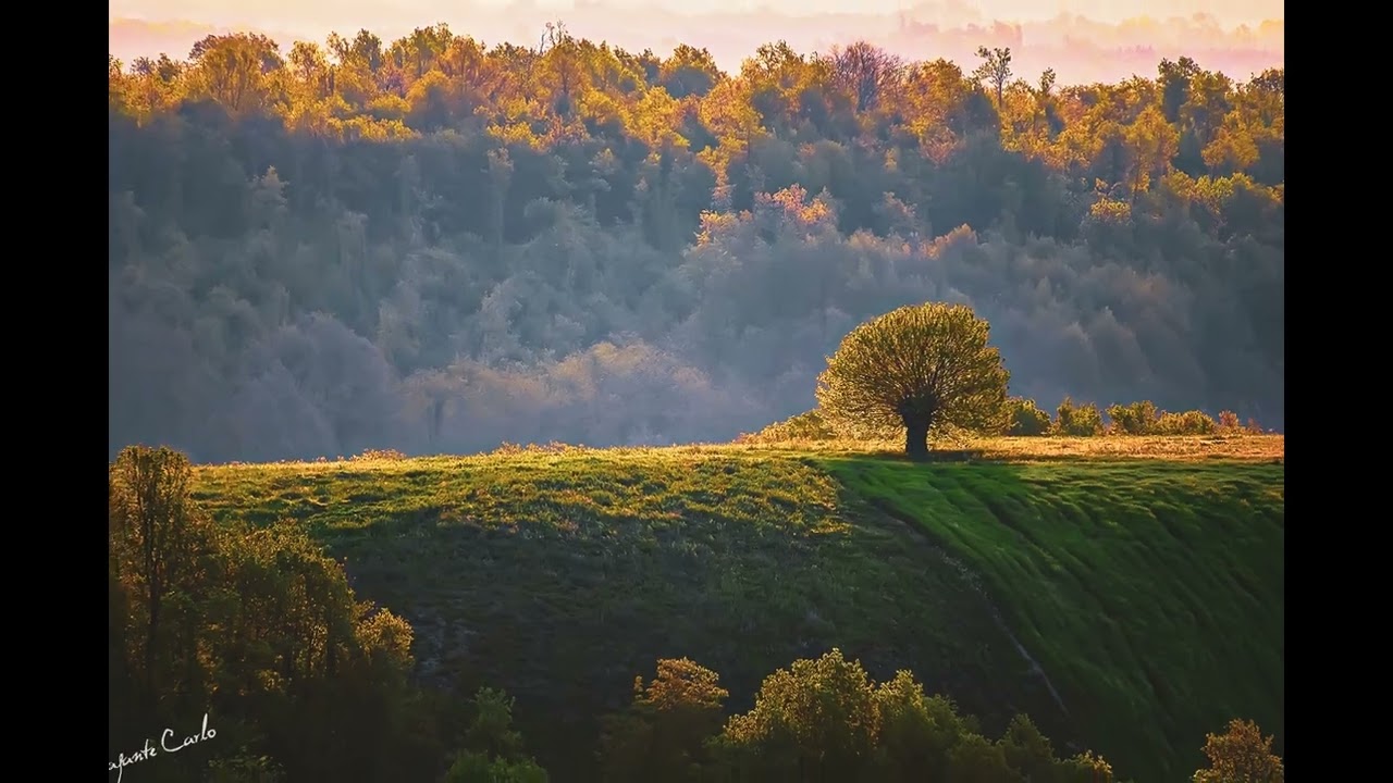 la mia valle : la Valle del Nure ( Piacenza)