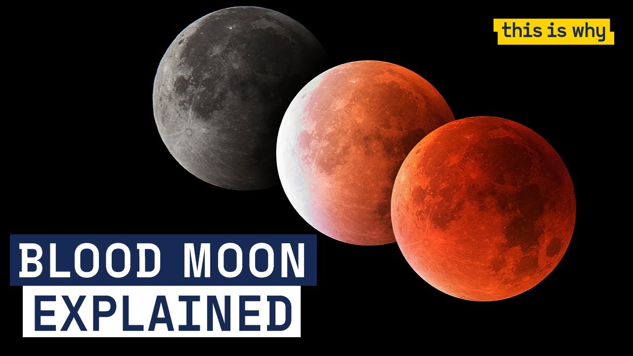 What is a Blood Moon? The lunar eclipse explained | This Is Why