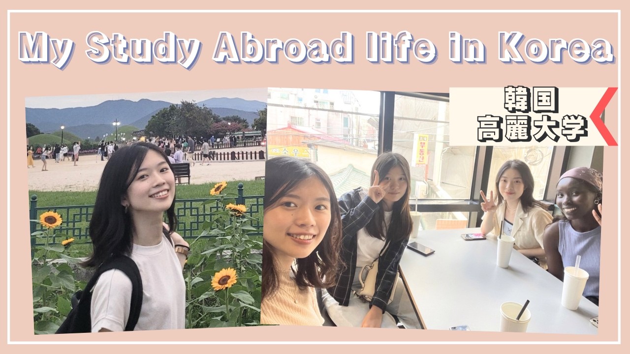 【交換派遣留学Vlog】韓国・高麗大学での1日 |  My studyabroad life in Korea