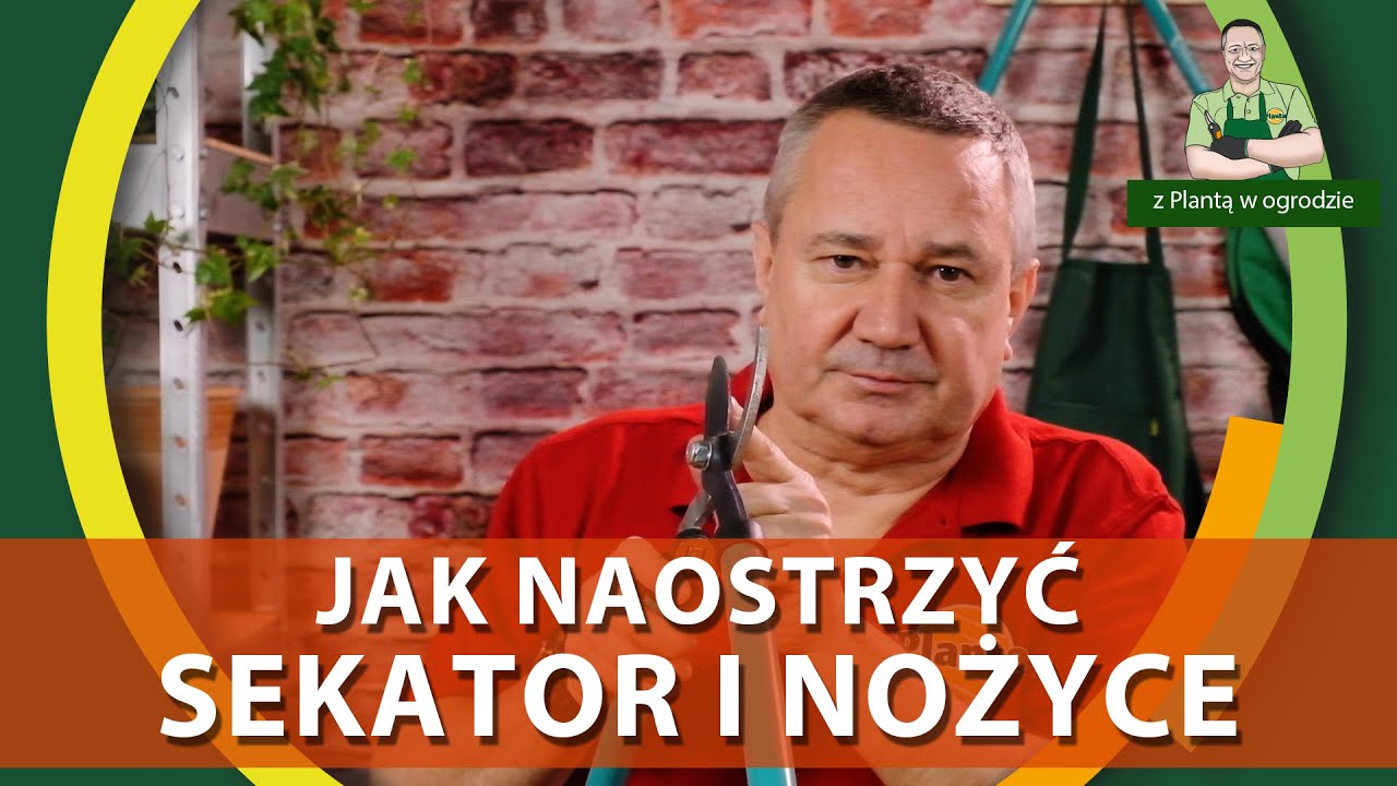Jak naostrzyć sekator i nożyce - Z PLANTĄ W OGRODZIE