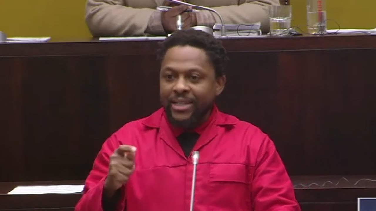 EFF Mbuyiseni Ndlozi Says They Don't Except Trade Industry Budget In Parliament