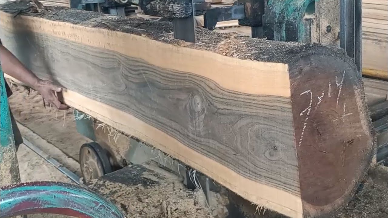 proses penggergajian kayu jati kampung besar bahan kusen 7*14 di sawmill.indonesian teak sawing