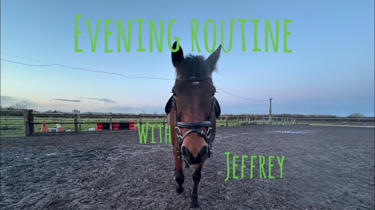 Winter evening routine with Jeffrey ~ vlogmas day 3 