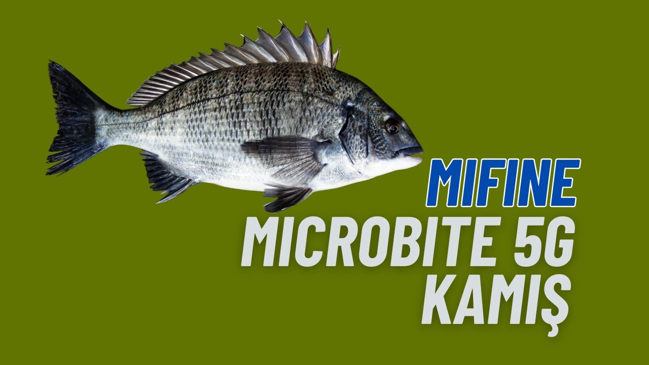 3LB Florokarbon ile Çupra Avı: Kano Hikayeleri Kayıt: 7