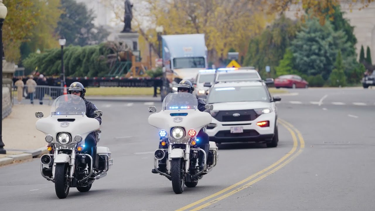 2025 U.S. Capitol Christmas Tree Arrival