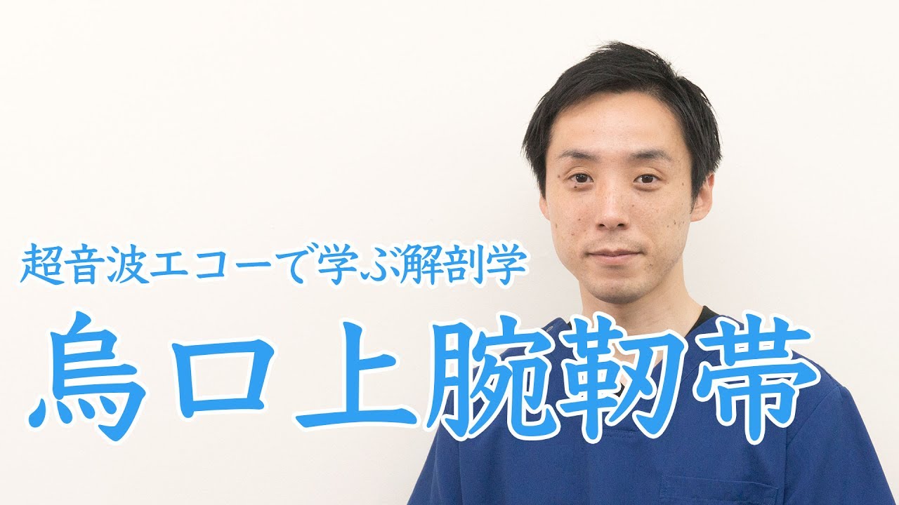 エコーで学ぶ解剖学 烏口上腕靭帯