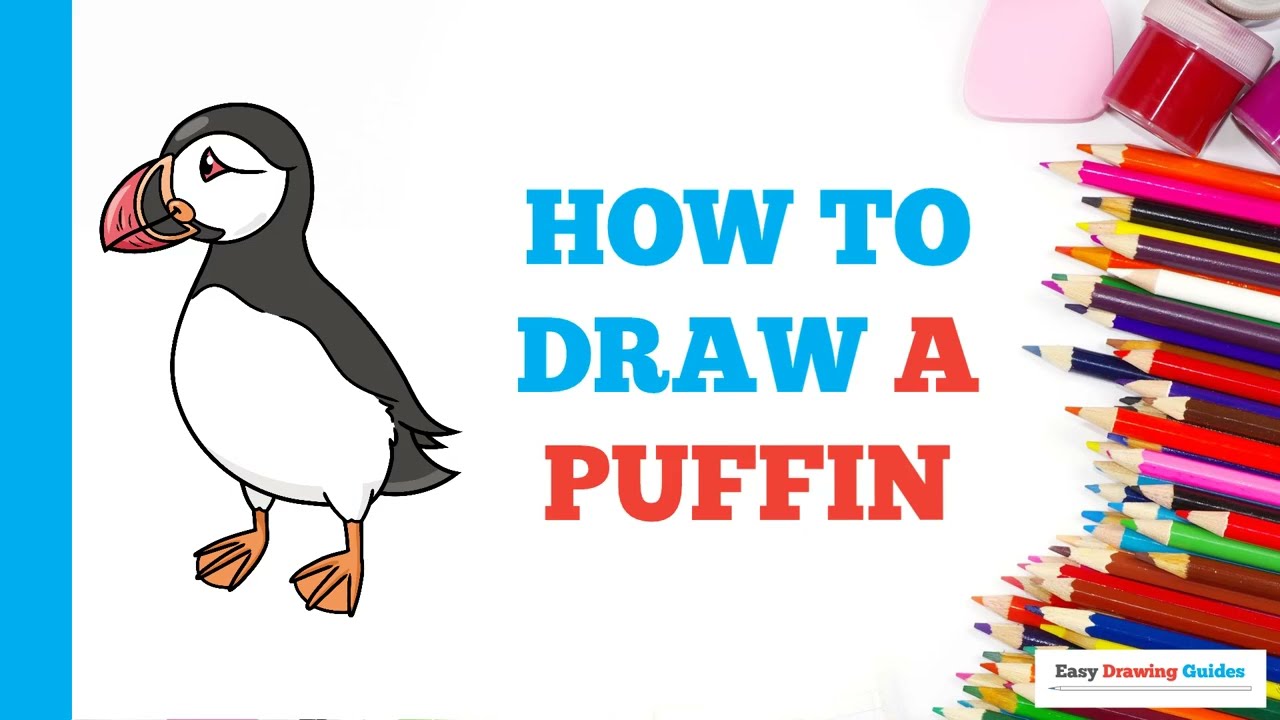 How to Draw a Puffin: Easy Step by Step Drawing Tutorial for Beginners