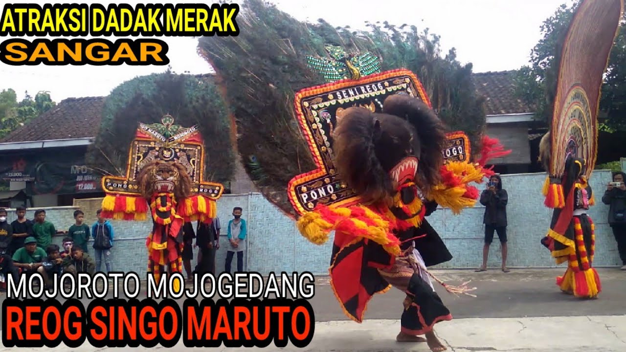Reog Singo Maruto #dadakmerak #reog #reogsingomaruto #ganongan #viral #mojogedang #kesenian #info