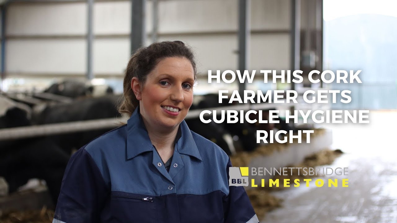 Reduced SCC and mastitis cases: How this Cork farmer gets cubicle hygiene right