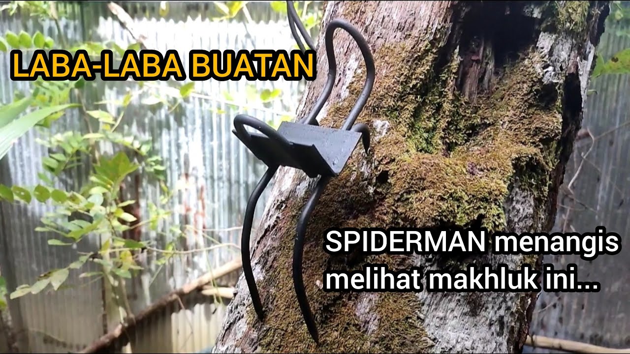alat panjat kelapa buatan sendiri