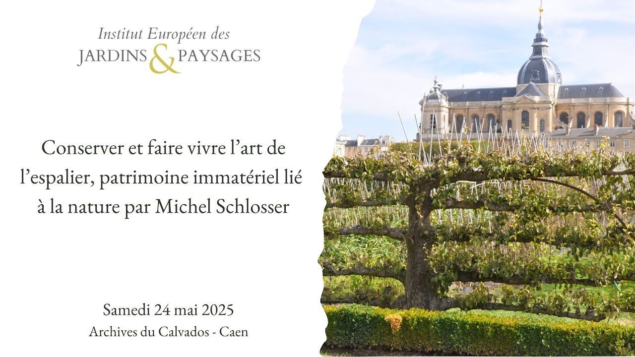 Conserver et faire vivre l’art de l’espalier, patrimoine immatériel lié à la nature