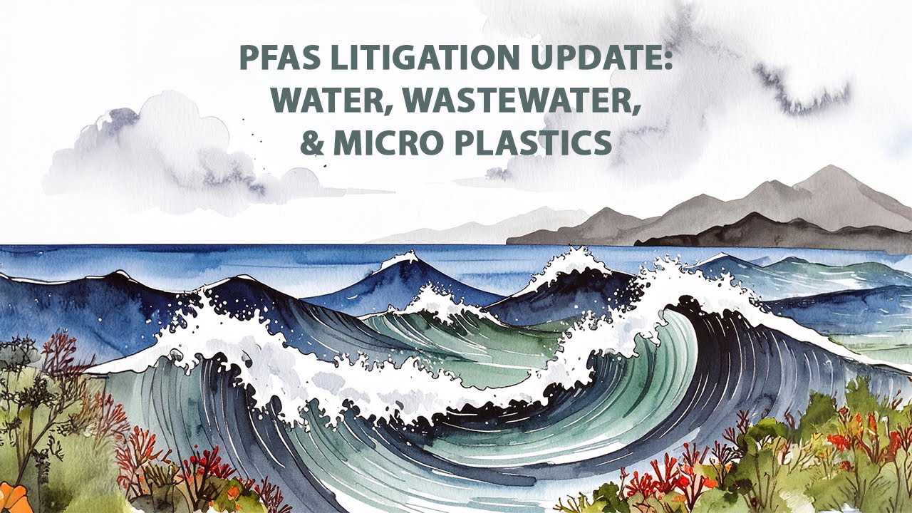 TAUD 2025 Business Conference &ndash;&nbsp;PFAS Litigation Update