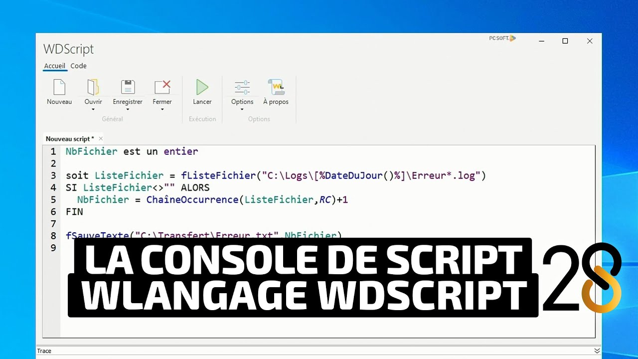 Replay WINDEV TOUR 28, la console de script WLangage WDSCRIPT