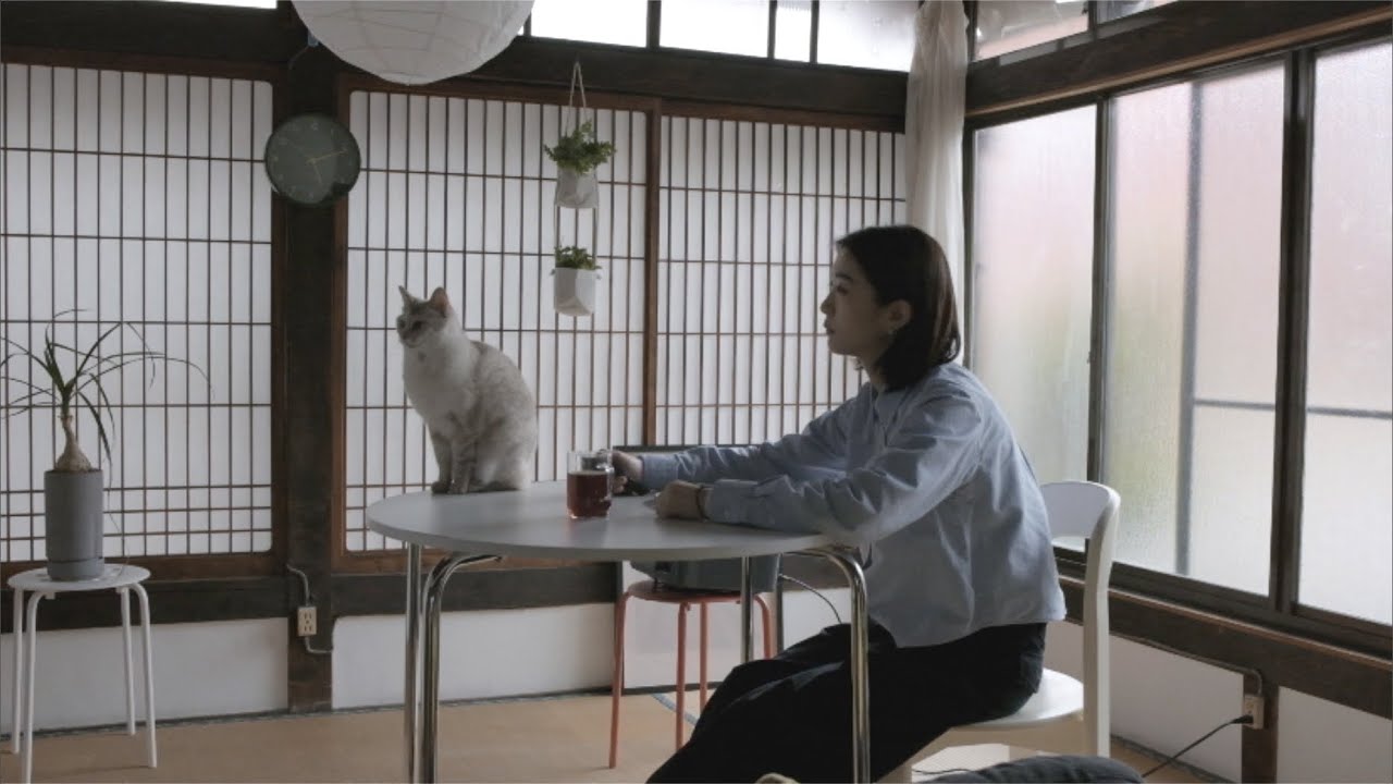 古民家一人と猫３匹の生活🐈🌱