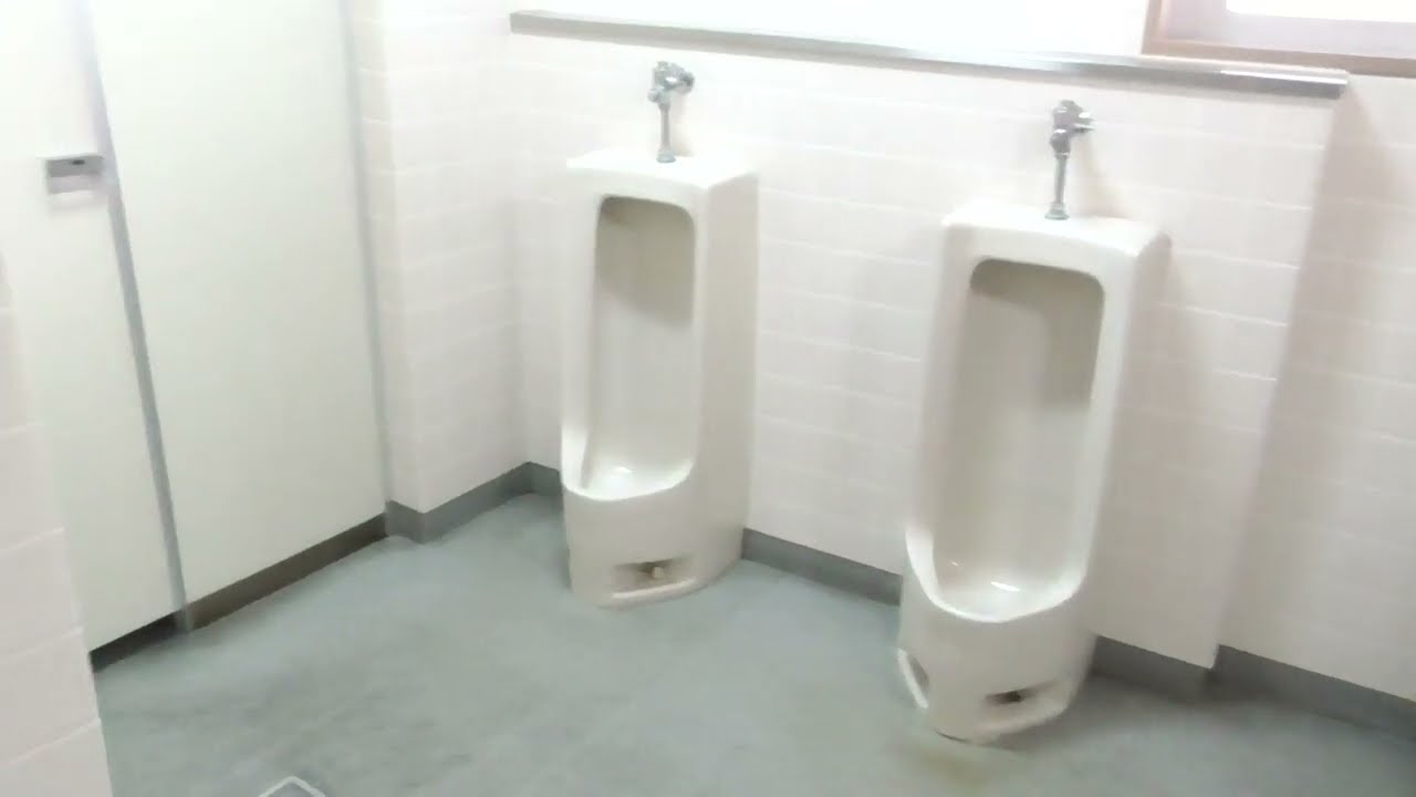 青森大学 研究棟1F　男性トイレ（青森・青森市）🚽　Aomori University　WC Japanese Toilet, Restroom (Men's room)　Flush