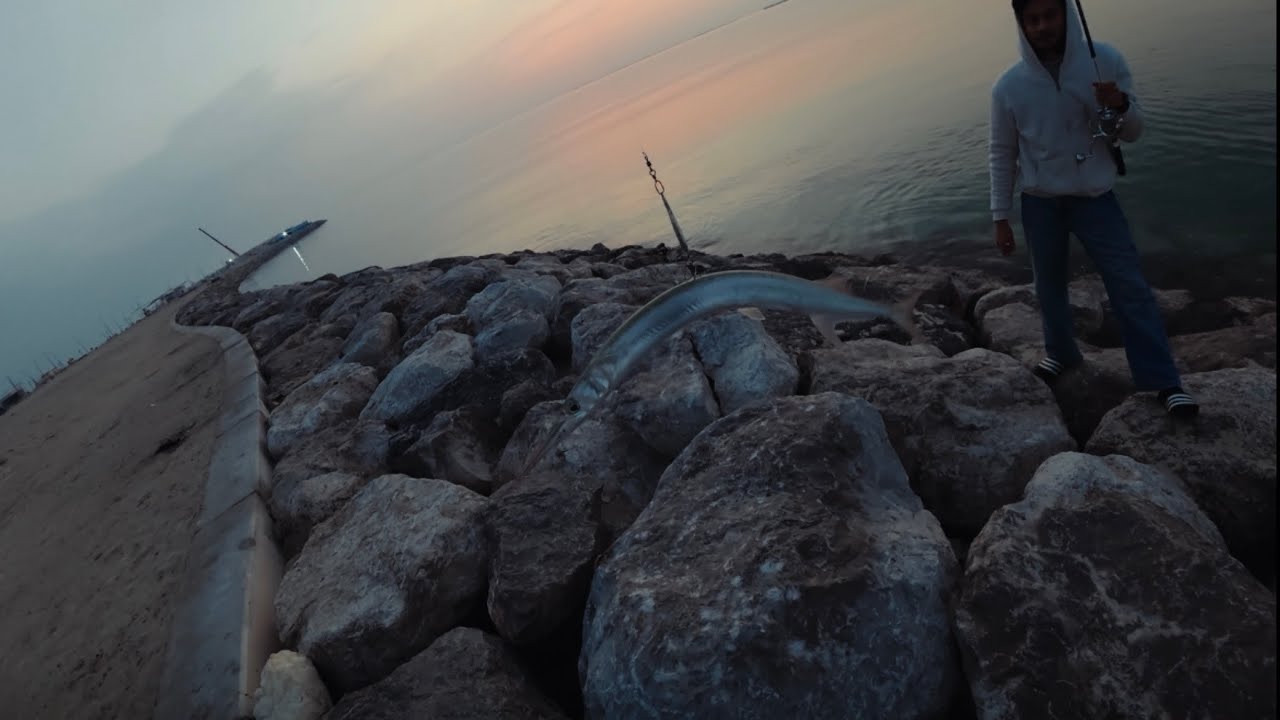 Catching Big Needle Fish | Fishing In Qatar