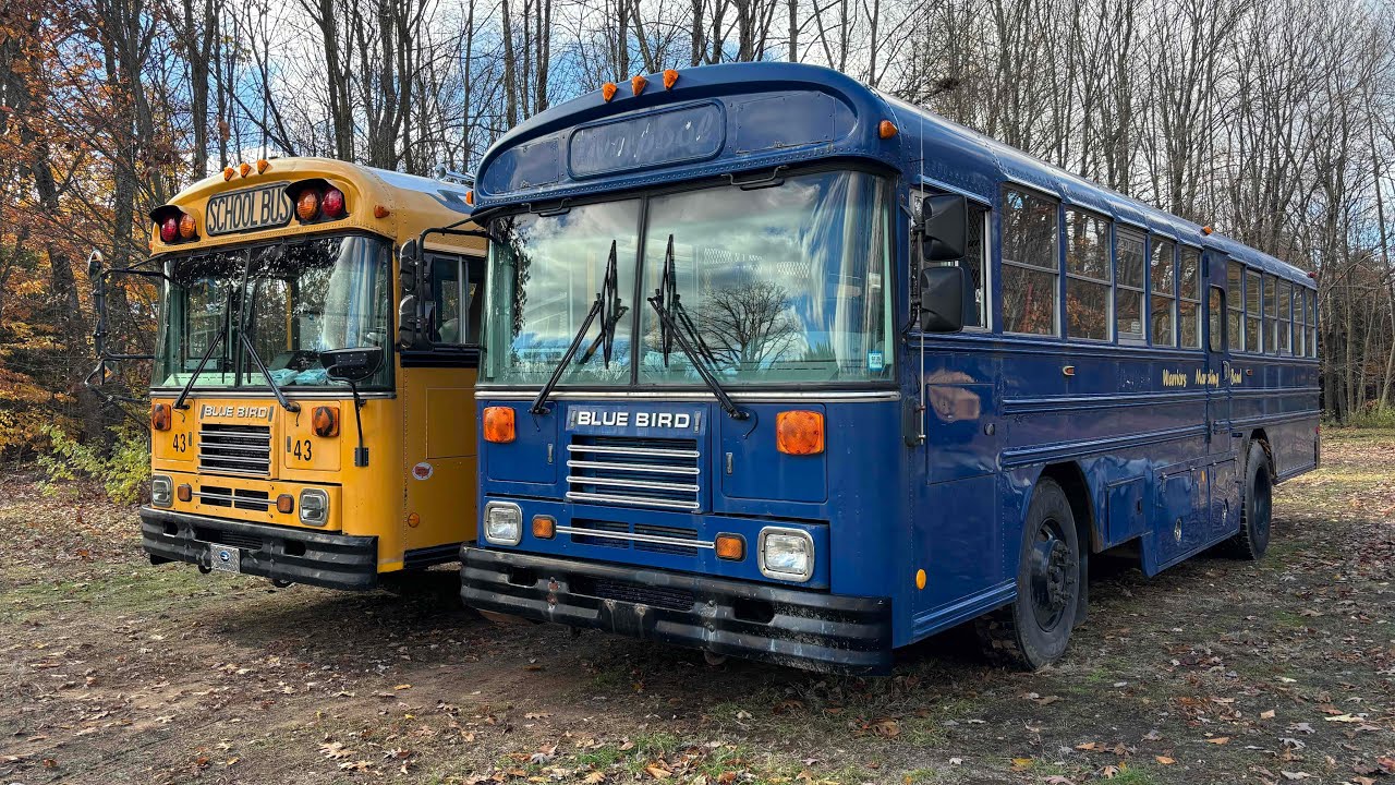 Я купил еще одну Blue Bird TC2000