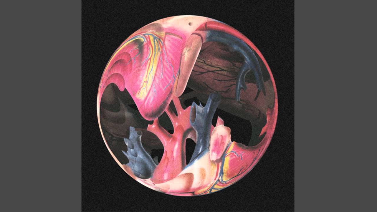 VACTROL PARK - Stars Quivering Slowly