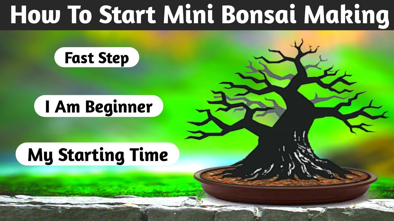 How To Start Mini Bonsai Making