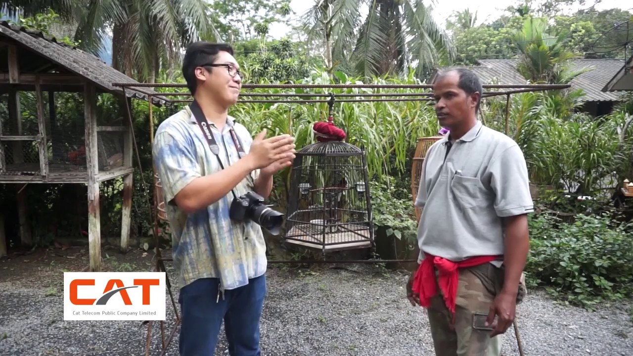 นกบินหลาดง สาย เขาปู่ เทือกเขาบรรทัด DUM P.K. Farm ฟาร์ม-จิ้งหรีดสะดิ้ง คนรักนกไทยแลนด์ EP.207
