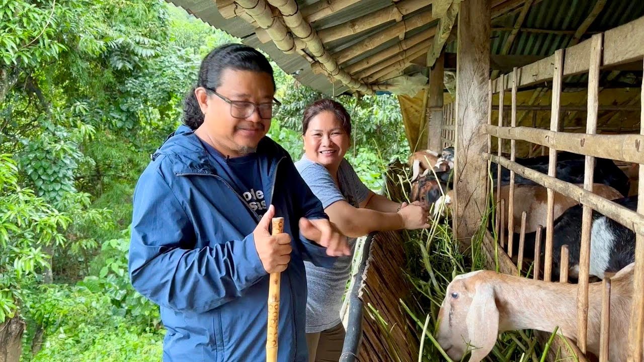 CANCER SURVIVOR, Binalikan ang UPGRADED GOATS nung Gumaling, Ngayon Kumikita narin sa GATAS!