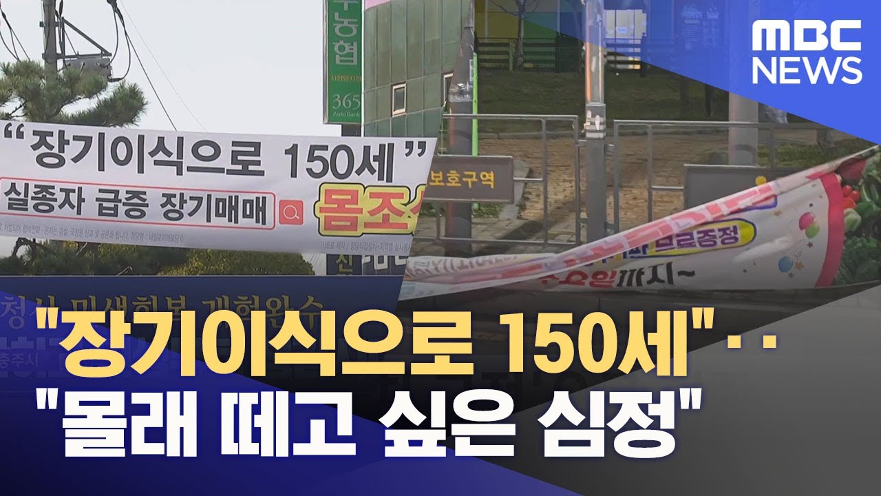 혐오 조장 정당 현수막 어쩌나‥ 