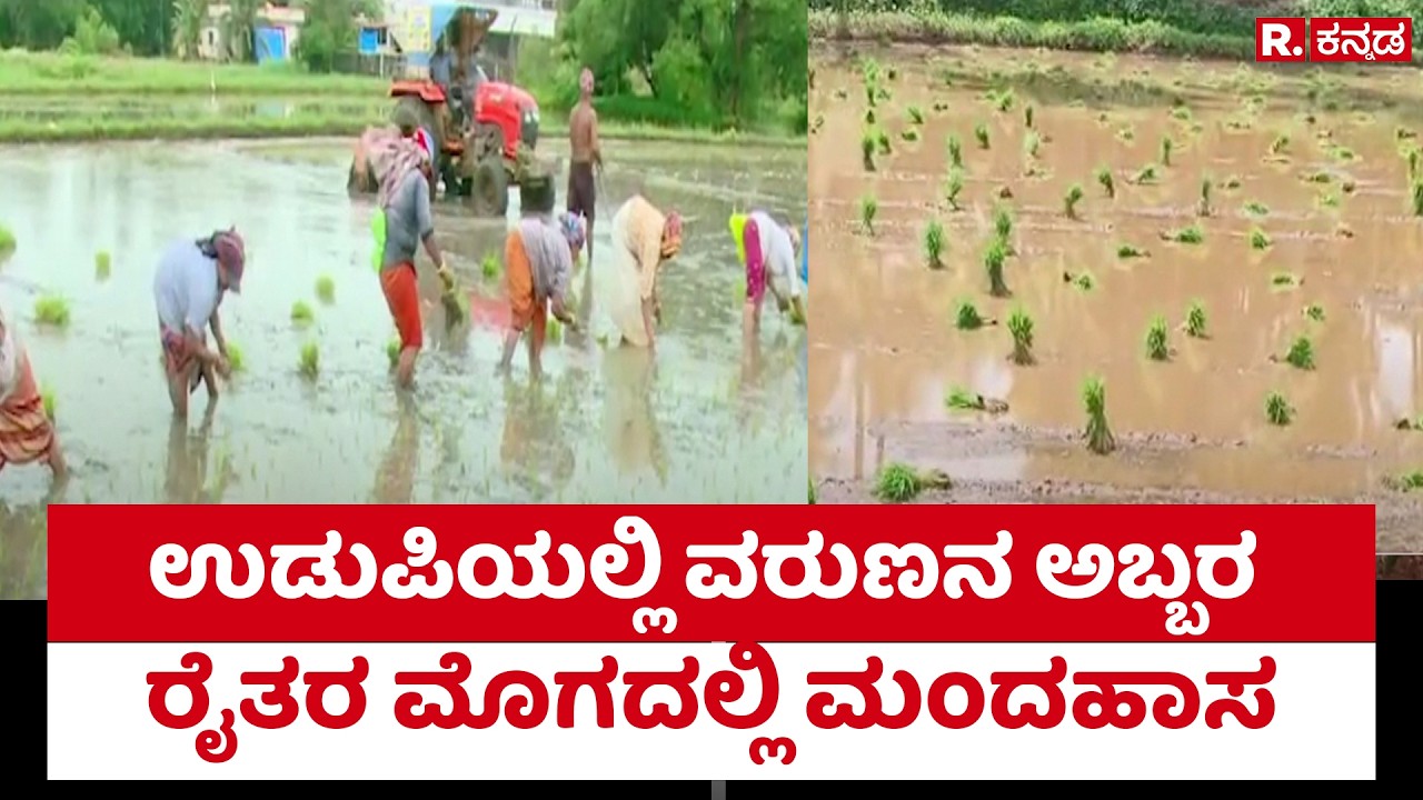 Udupi Farmers : ಉಡುಪಿಯಲ್ಲಿ ವರುಣನ ಅಬ್ಬರ ರೈತರ ಮೊಗದಲ್ಲಿ ಮಂದಹಾಸ | Rain