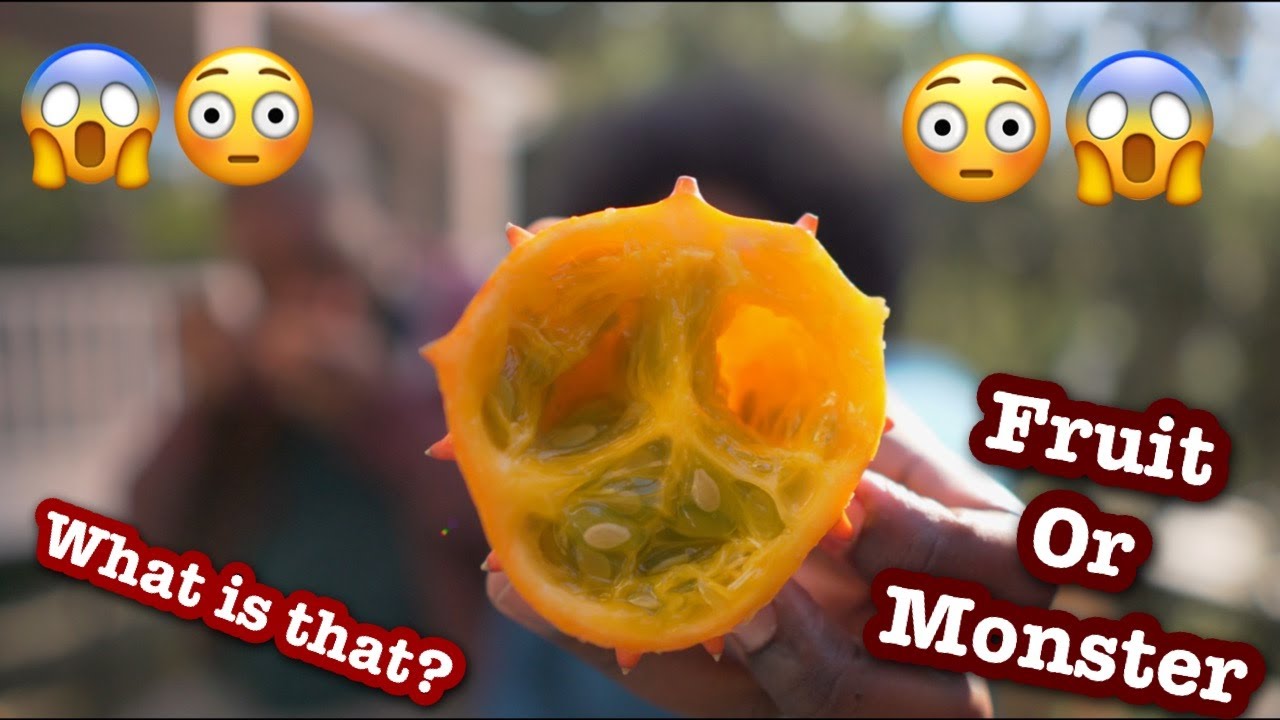 Kiwano Melon | Exotic Fruits with Keyz&T￼