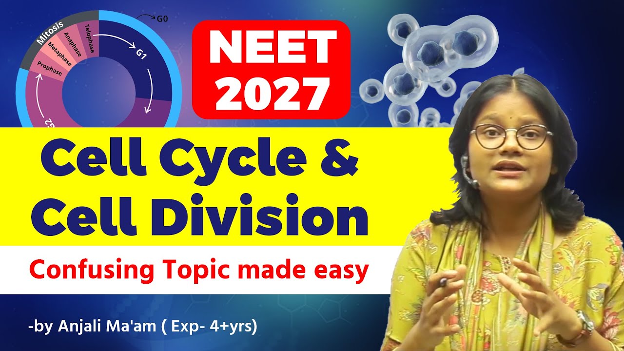 cell cycle and cell division chapter revision|cell cycle and cell division neet 2026 | NEET 2026