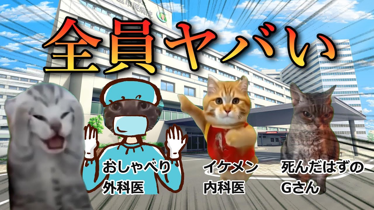 ヤバい医療関係者 総集編【猫ミーム】【猫マニ】