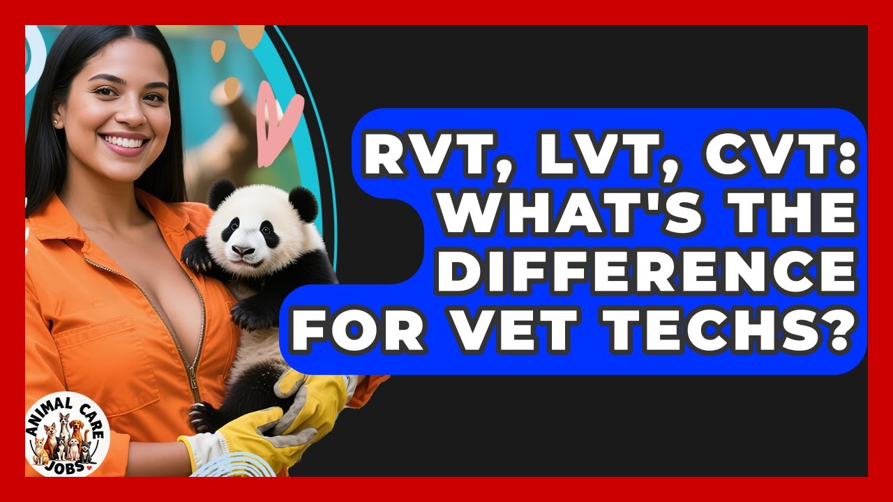 RVT, LVT, CVT: What's The Difference For Vet Techs? - Animal Care Jobs