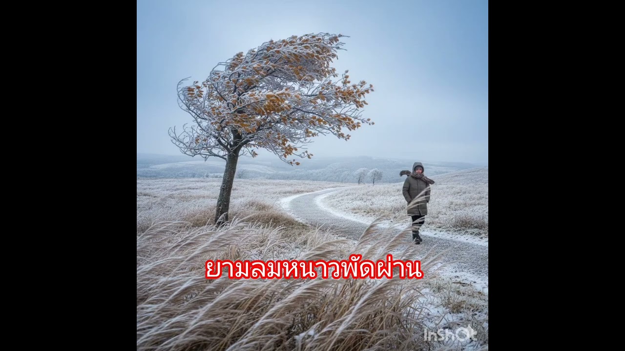 ยามลมหนาวพัดผ่าน
