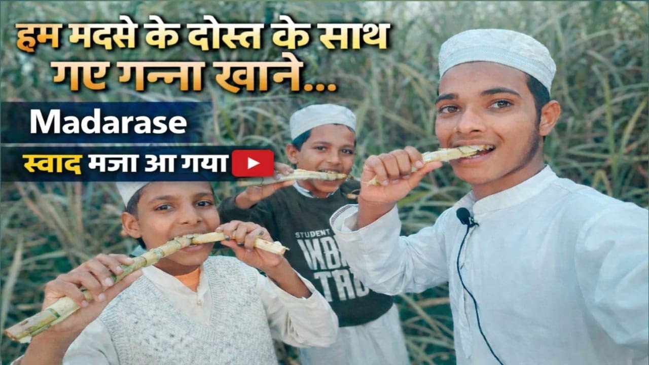 हम दोस्त के साथ आए गन्ने खाने ||#Shahanwaz daily vlogs 