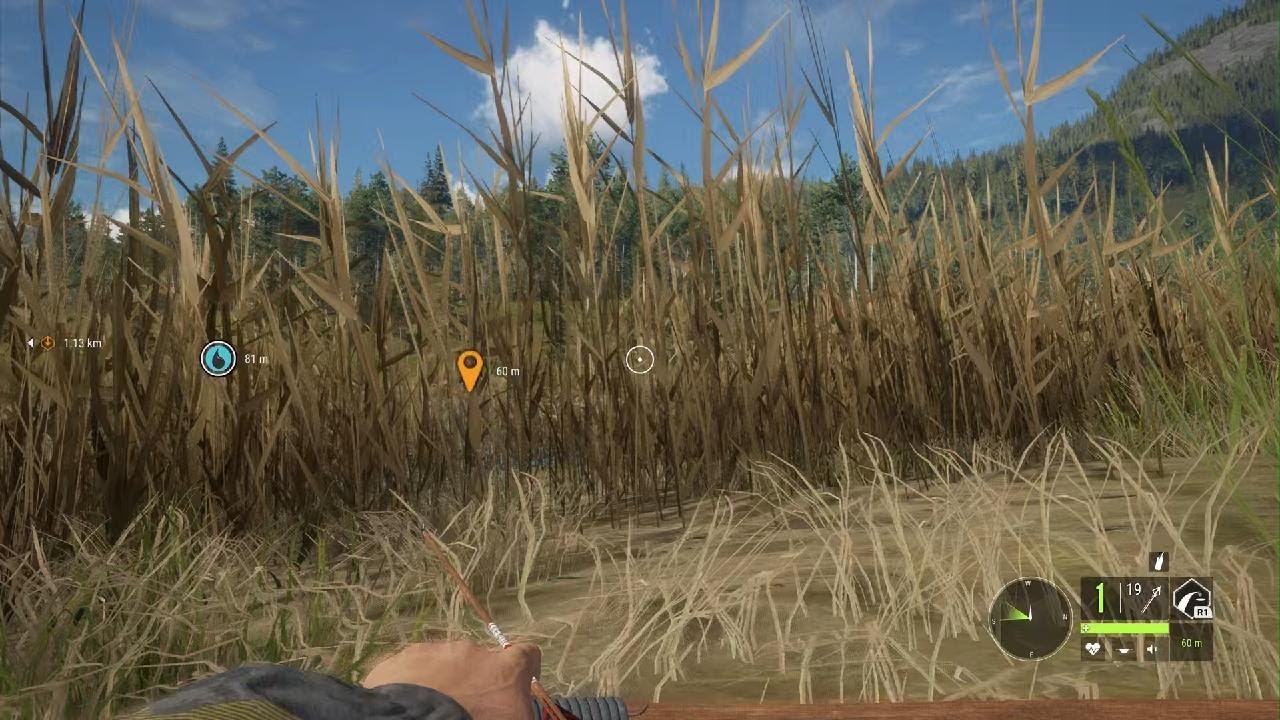 theHunter: Call of the Wild alexsander bow