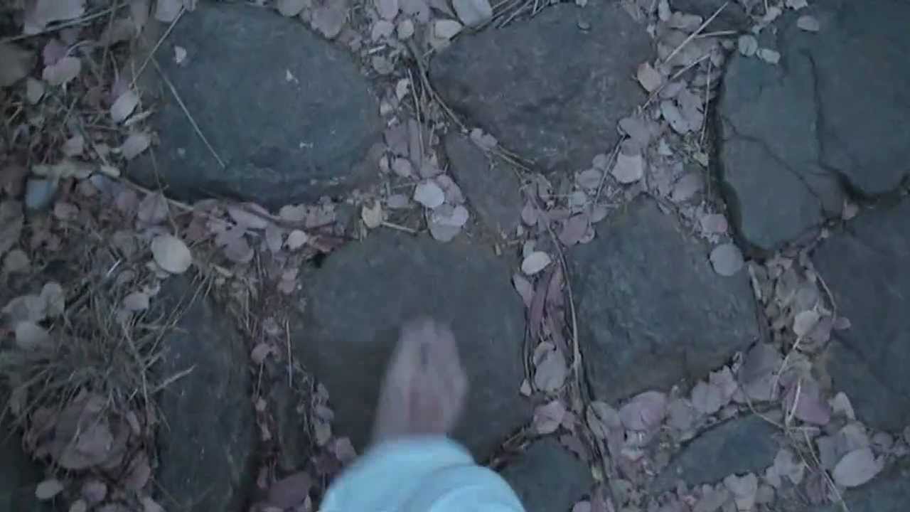 Шри Рамана Махарши 