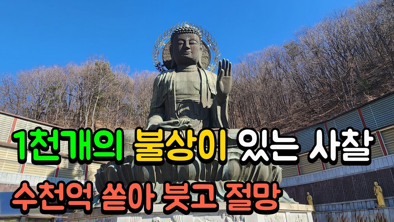 1천개의 불상이 있는 사찰 수천억 쏟아 붓고 절망 | 현세에 이런 곳이 있다니?