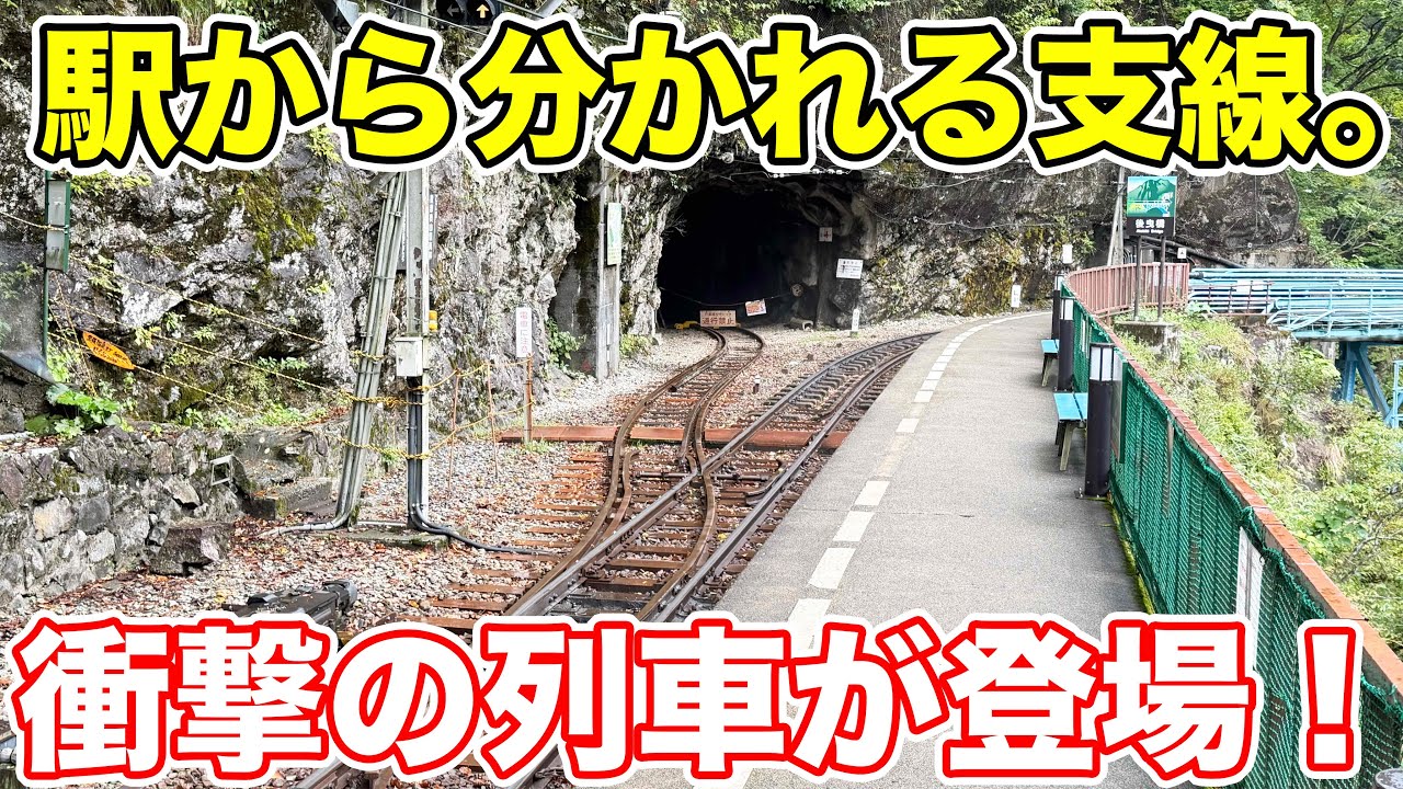 駅から分かれる支線を走る、謎の列車の正体とは！？