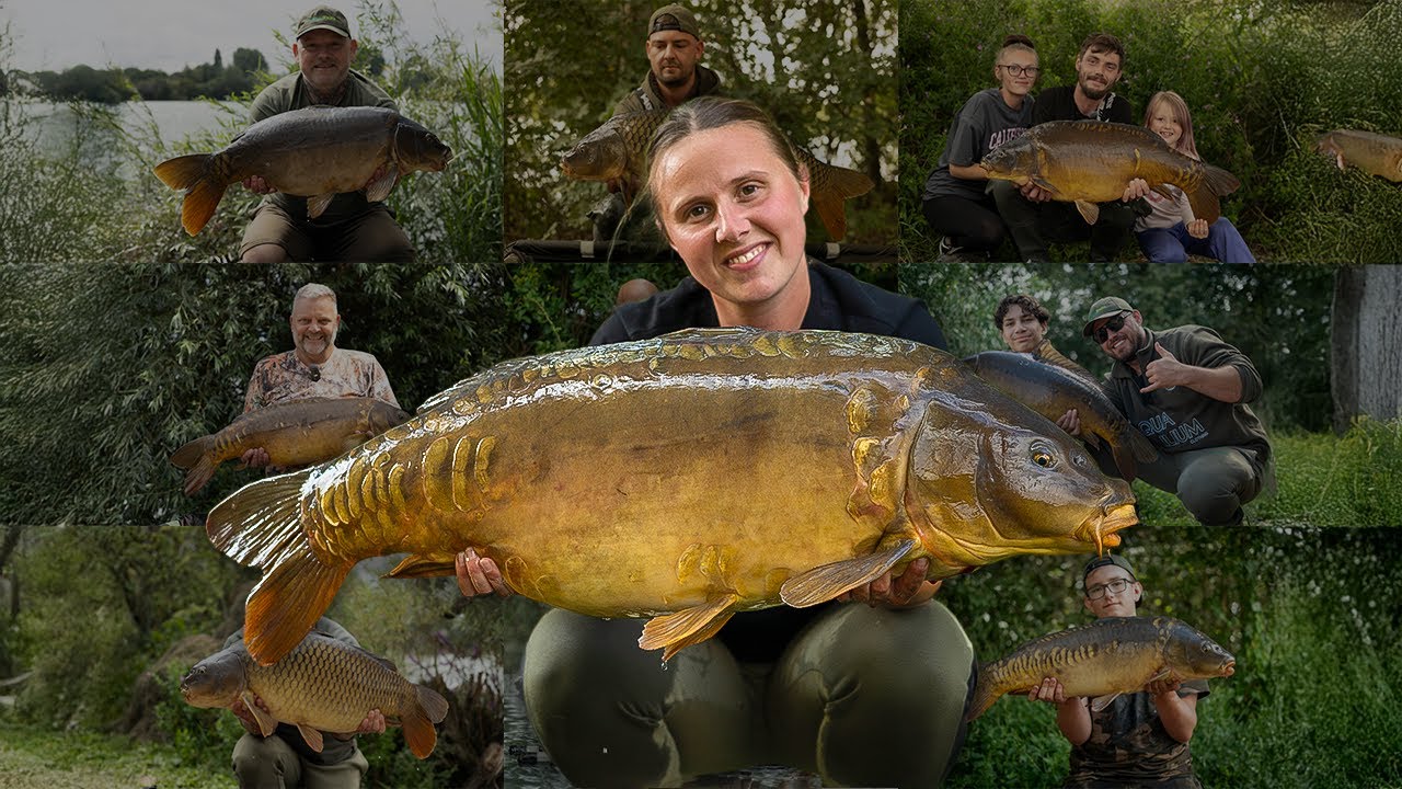 80+ Carp CAUGHT in 48 Hours! - Linear Fisheries B2 Lake Exclusive - ParkerBaits Social - Part 2