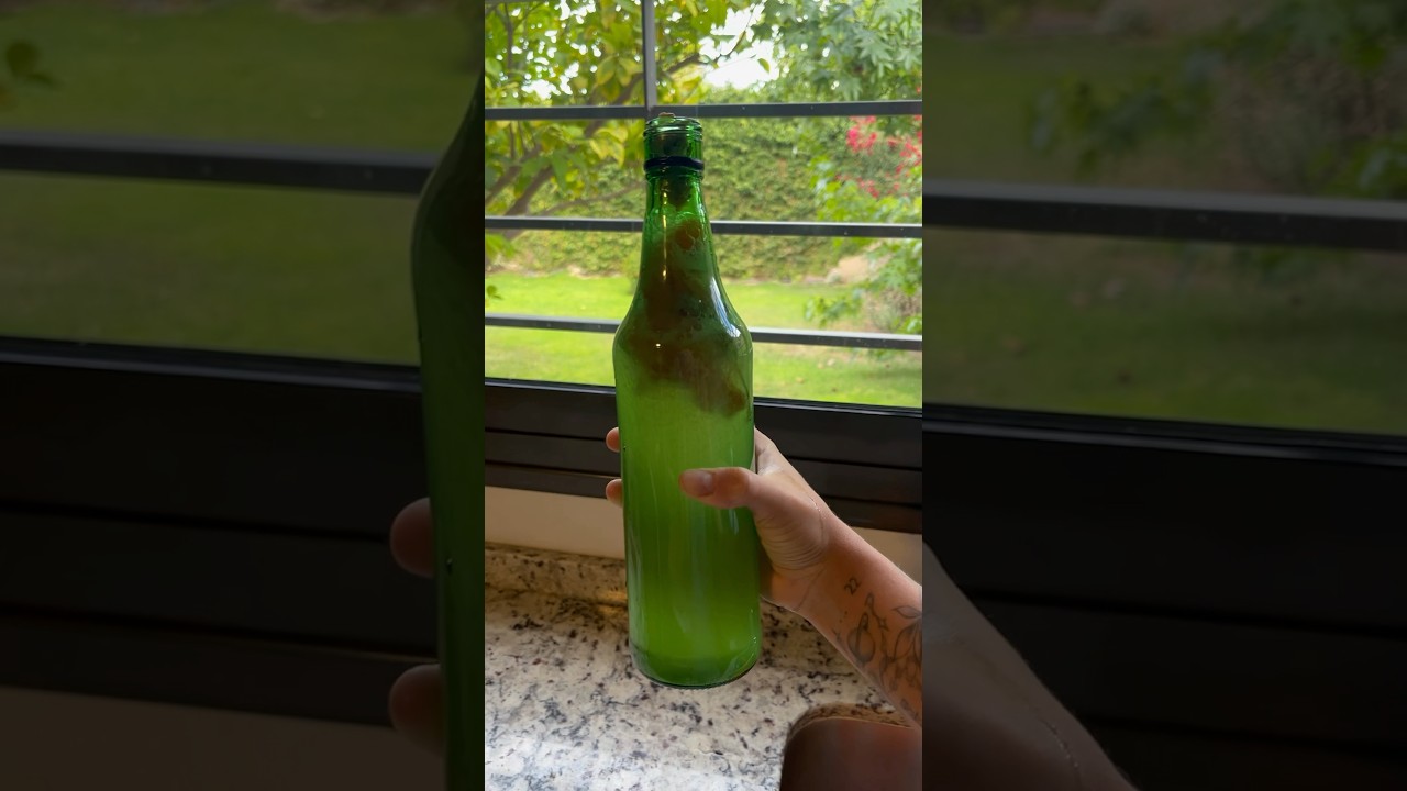 Cansado de las gaseosas en las fiestas?? Lleva tu gaseosa natural! Aprende a preparar Kombucha !!