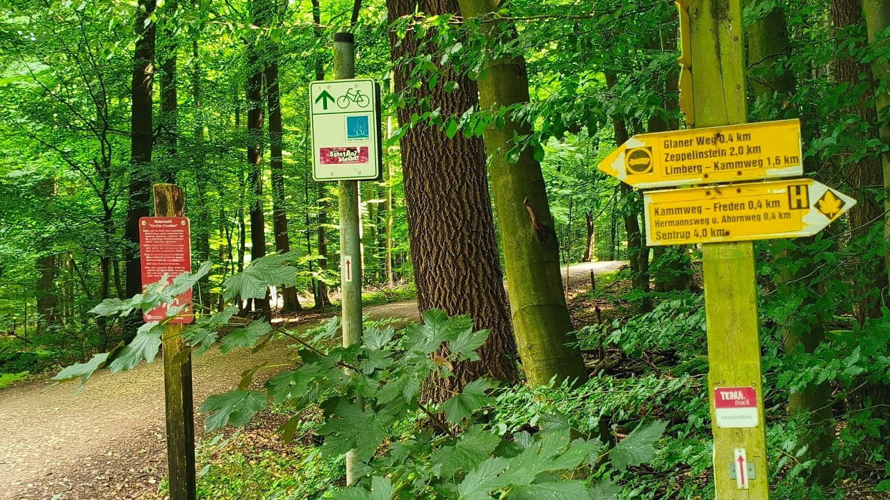 Radtour Bad Iburg - Über die Waldchaussee nach Hilter und Bad Rothenfelde