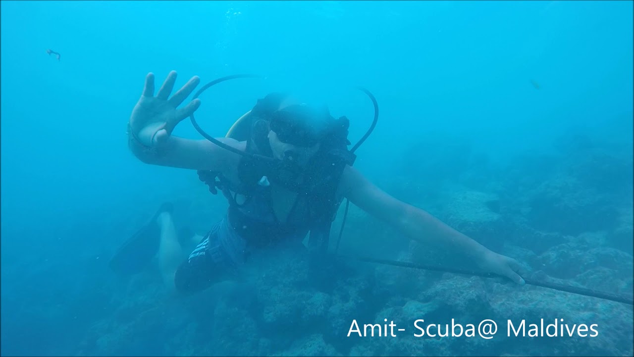 Maldives scuba diving videos | Scuba diving in Maldives | Paradise Island Resort Maldives