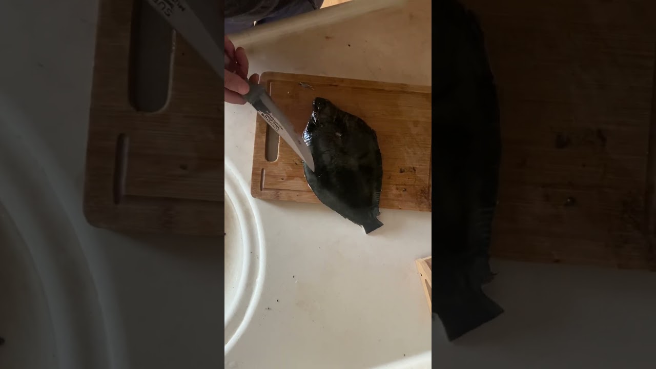Pisi balığı nasıl temizlenir