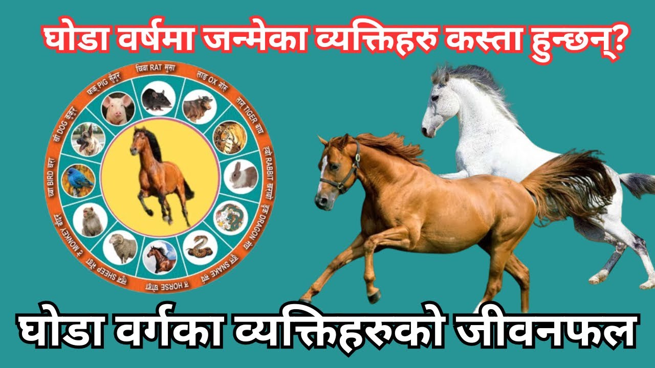 घोडा वर्षमा जन्मेका व्यक्तिहरु कस्ता हुन्छन्? घोडा वर्गका व्यक्तिहरुको जीवनफल