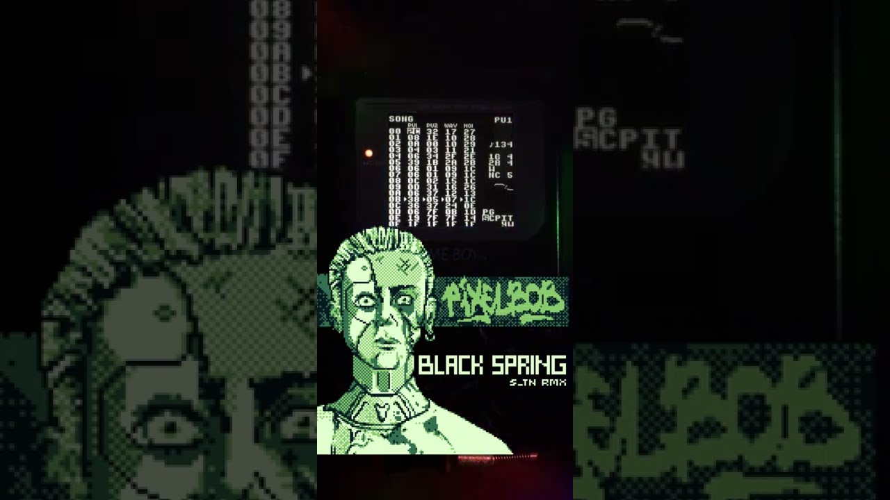 Pixelbob - Black spring (S_TN rmx)